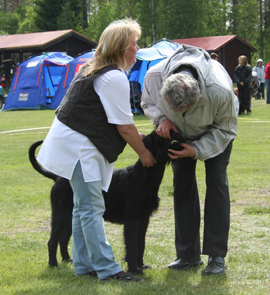 bild9