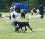 bild10