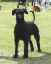 bild11