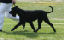 bild12