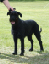 bild13