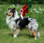 bild19