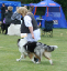 bild2