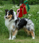 bild20