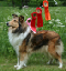 bild21