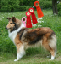 bild22