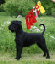 bild25