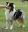 bild3