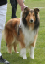 bild6