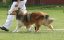 bild7