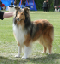 bild8