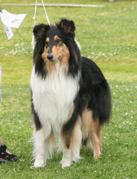 bild10