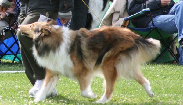 bild4