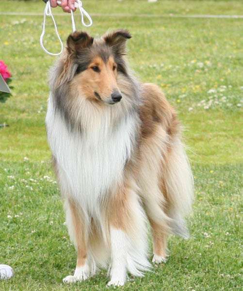 bild9