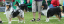 bild1