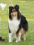 bild10