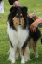 bild11