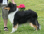 bild3