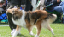 bild4