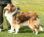 bild5