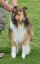 bild7