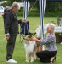 bild8