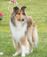 bild9
