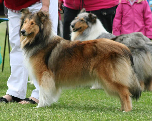 bild7