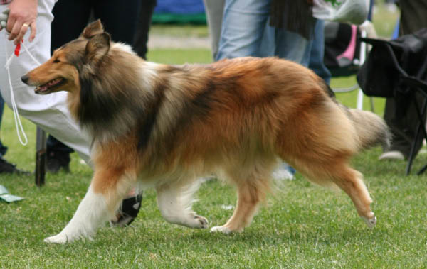 bild8