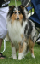 bild1