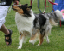 bild2