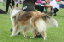 bild5