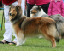 bild7