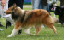 bild8
