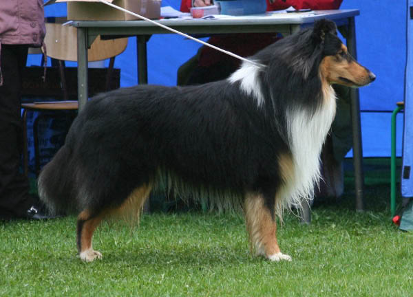 bild1