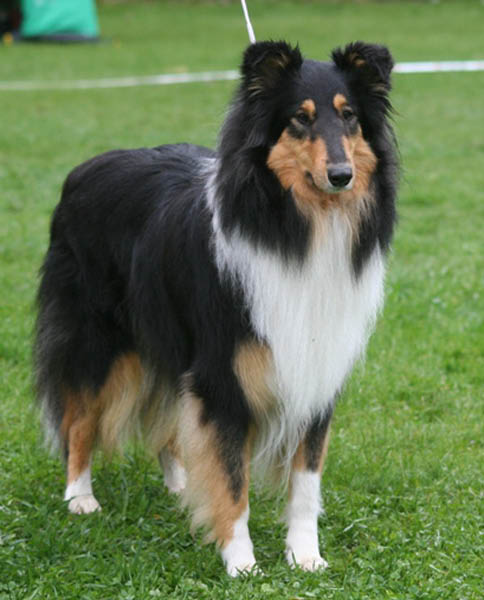 bild6