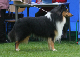 bild1