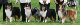 bild12