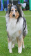 bild4