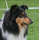 bild5