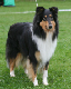 bild6