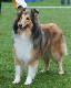 bild7