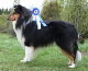bild9