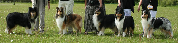 bild12