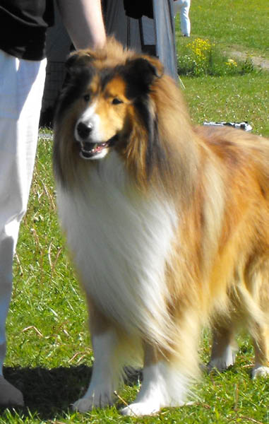 bild4
