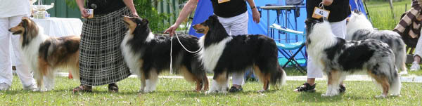 bild9