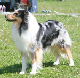bild1