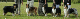 bild12