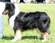 bild3