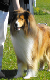 bild4